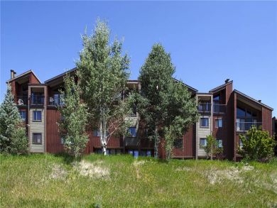 Steamboat Springs Home 928051
