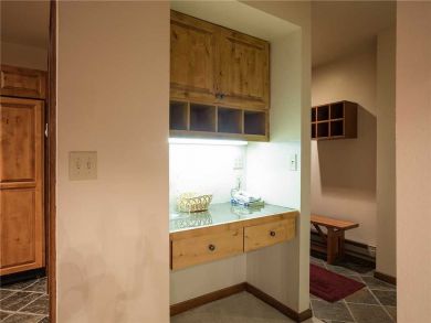 Steamboat Springs Home 928052