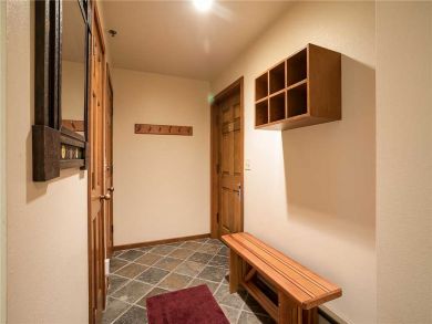 Steamboat Springs Home 928052