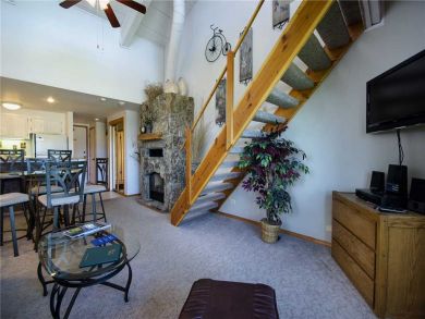 Steamboat Springs Home 928053