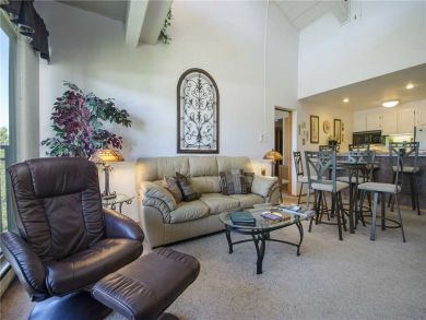 Steamboat Springs Home 928053