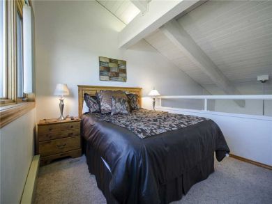 Steamboat Springs Home 928053