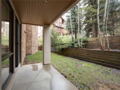 Steamboat Springs Home 928054 Steamboat Springs Home 928054