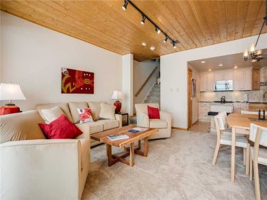 Steamboat Springs Home 928055