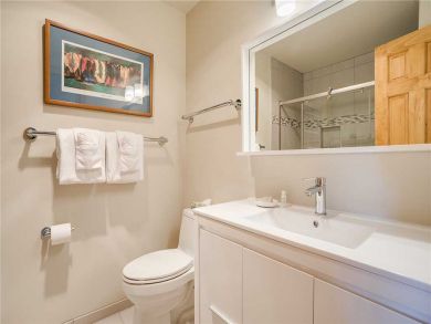 Steamboat Springs Home 928055