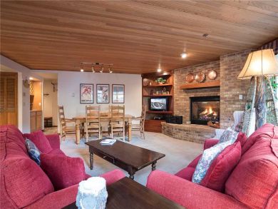 Steamboat Springs Home 928056