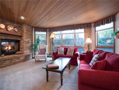 Steamboat Springs Home 928056