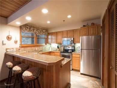 Steamboat Springs Home 928056