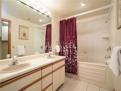 Steamboat Springs Home 928056