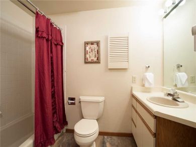 Steamboat Springs Home 928056