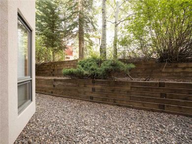 Steamboat Springs Home 928056