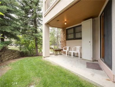 Steamboat Springs Home 928058 Steamboat Springs Home 928058