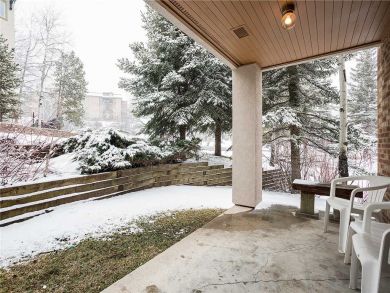Steamboat Springs Home 928058 Steamboat Springs Home 928058