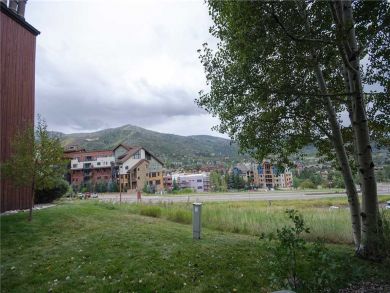 Steamboat Springs Home 928059