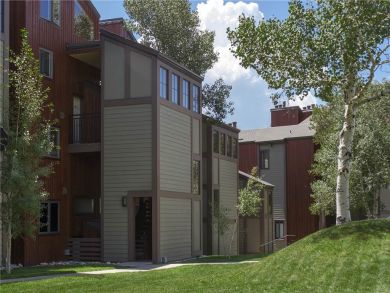 Steamboat Springs Home 928059