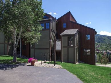 Steamboat Springs Home 928059