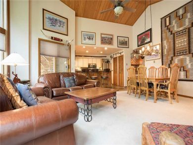 Steamboat Springs Home 928060