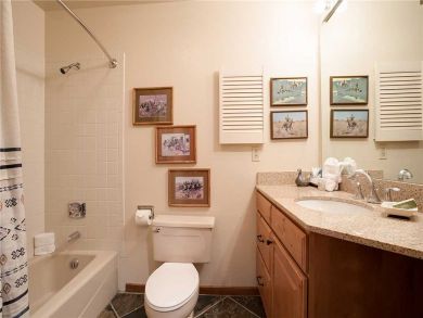Steamboat Springs Home 928060
