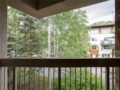 Steamboat Springs Home 928060
