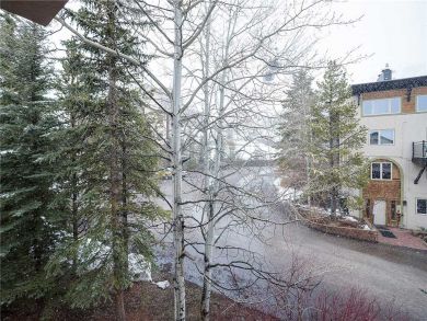 Steamboat Springs Home 928060