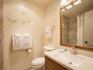 Steamboat Springs Home 928061