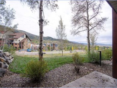 Steamboat Springs Home 928061
