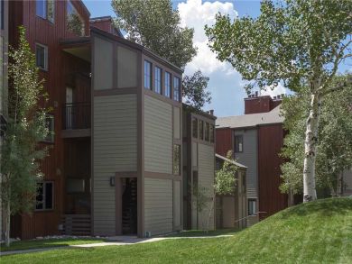Steamboat Springs Home 928061
