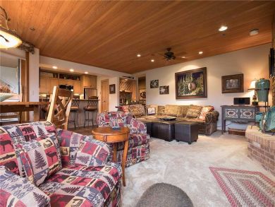 Steamboat Springs Home 928064