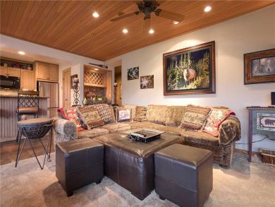 Steamboat Springs Home 928064