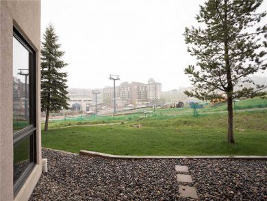 Steamboat Springs Home 928064