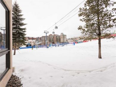 Steamboat Springs Home 928064