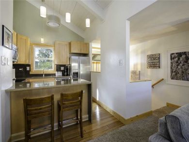 Steamboat Springs Home 928065