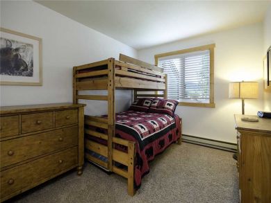 Steamboat Springs Home 928065