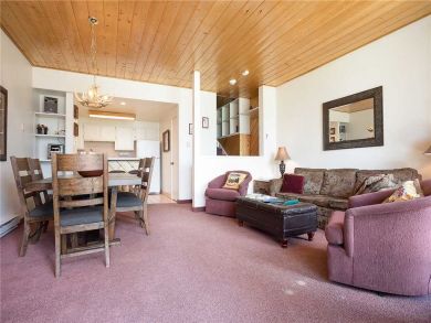 Steamboat Springs Home 928067