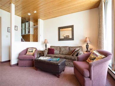 Steamboat Springs Home 928067