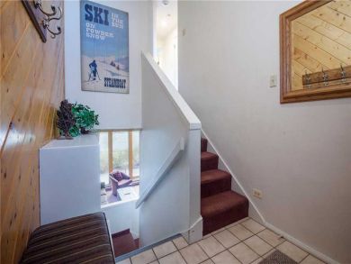 Steamboat Springs Home 928067