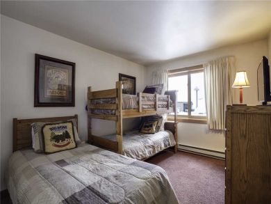 Steamboat Springs Home 928067