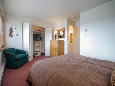 Steamboat Springs Home 928067
