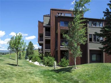 Steamboat Springs Home 928067