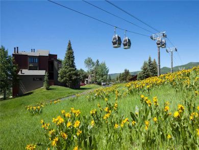 Steamboat Springs Home 928067