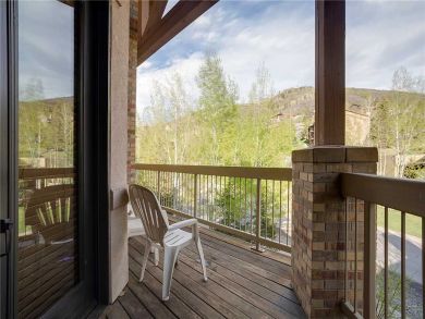 Steamboat Springs Home 928070
