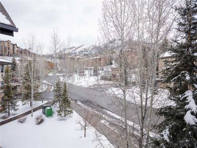 Steamboat Springs Home 928072 Steamboat Springs Home 928072