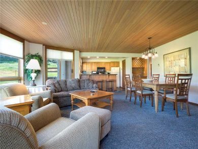 Steamboat Springs Home 928073