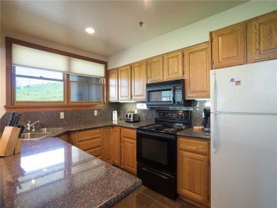 Steamboat Springs Home 928073