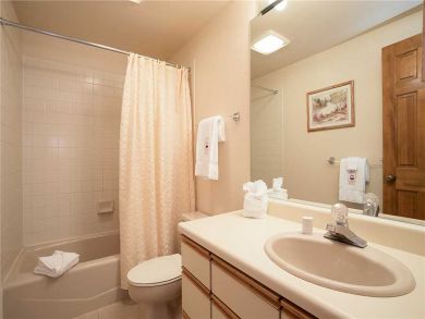 Steamboat Springs Home 928073