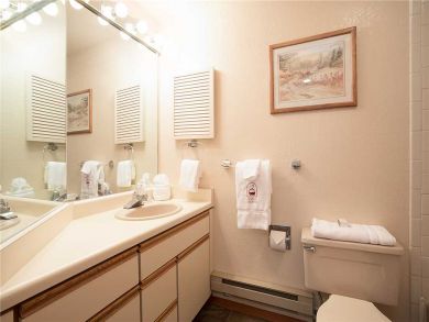 Steamboat Springs Home 928073
