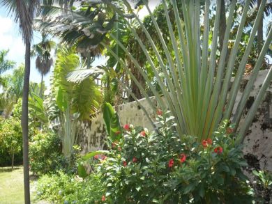 St Croix Walk to Beach Two Bedroom Home Sleeps 6