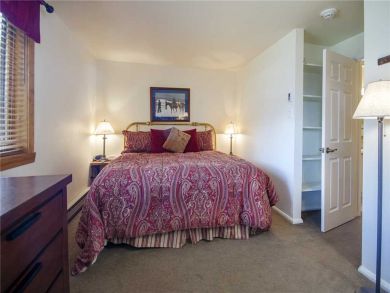 Steamboat Springs Home 928075 Steamboat Springs Home 928075