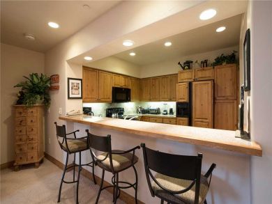 Steamboat Springs Home 928078