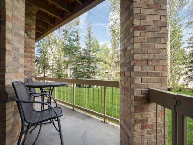 Steamboat Springs Home 928078